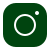 Instagram Logo Green